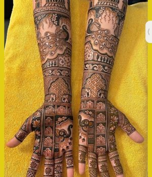 WhatsApp Image 2024-11-30 at 2.18.56 PM (1)